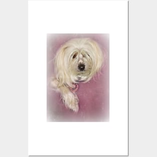 Chinese Crested Dog on Pink Posters and Art